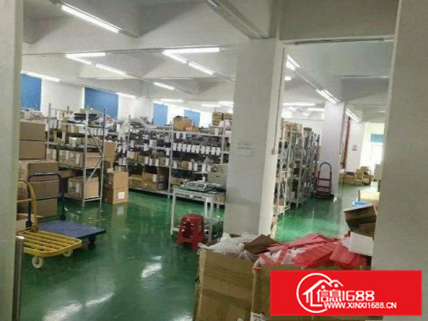 博罗福田楼上600平原房东厂房整租带精装现成水电