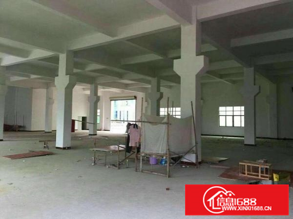 陈江镇原房东独门独院3900平出租大小可分租