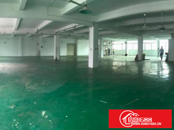 深圳观澜便宜厂房出租交通方便