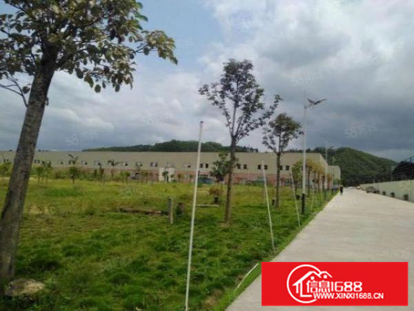 高明更合镇新出全新单一层厂房约12000平方可分割滴水10米