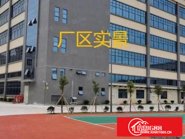 常平原房东标厂房出租