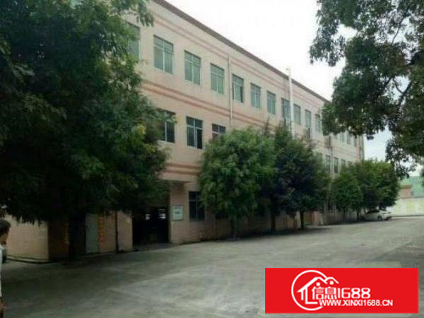 龙岗区龙城新出一楼600平方带办公室装修招租