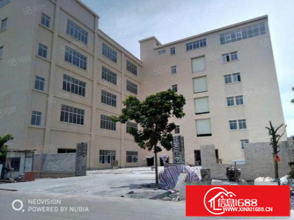 大岭山原房东厂房出租楼上720平方带办公室地坪漆天花吊顶