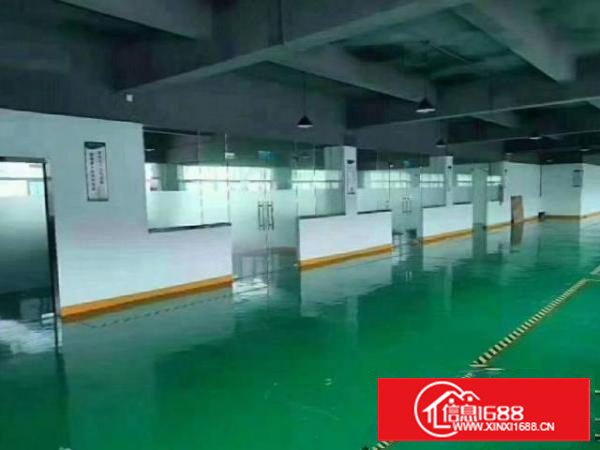 茶山京山村原房东厂房一楼500平方出租、地坪漆