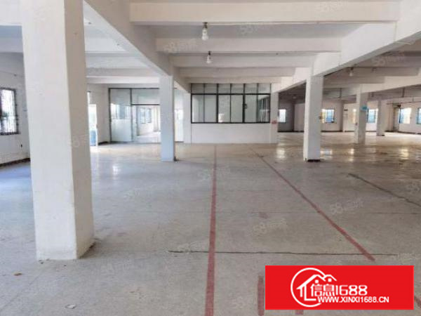 石排标准厂房出租1000价格12欢迎致电