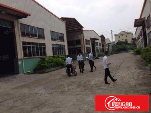 茶山新出标准单一层厂房4800平方厂房出租