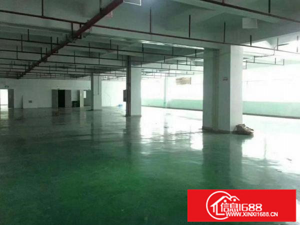 油松新出独院厂房三层5000平适合研发办公电商总部