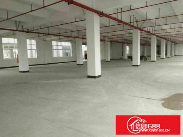 镇隆新出14000平独院标准厂房出租