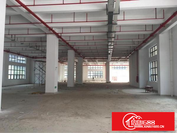 凤岗镇红本全新标准独院厂房5层12800平方米出租