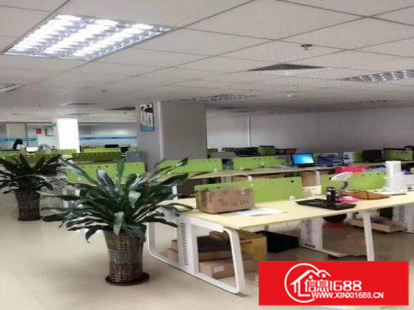 观澜梅观高速独15000平方红本独院厂房（可分租）