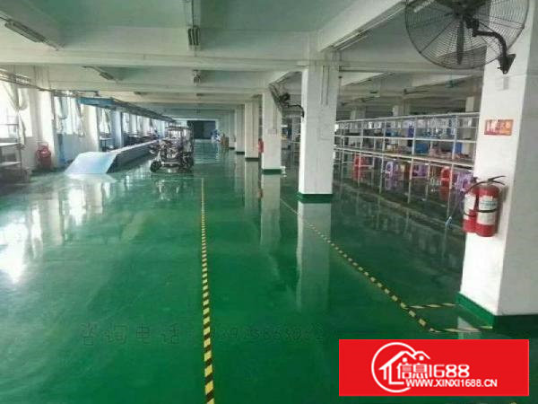 塘厦横塘独院标准3楼1150平方！消防合格！蹭亮地坪漆实拍图