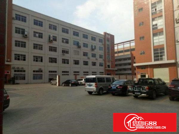 凤岗一楼400、550、800平米标准厂房出租