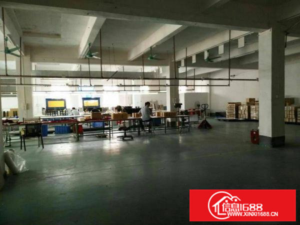 横沥镇隔坑村带现成办公室厂房招租三楼800