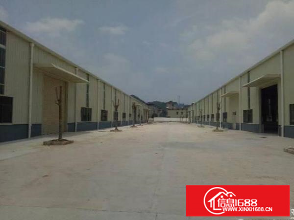 潼湖镇单一层独院钢构滴水8米20000平出租原房东