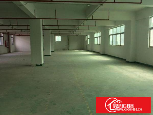 靠近富士南门新出楼上500平精装修厂房出租