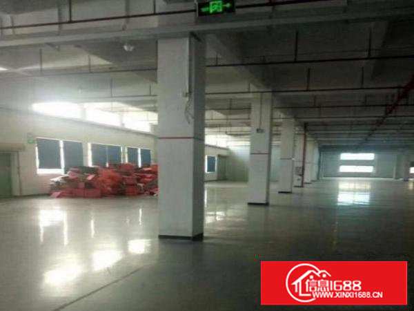 塘厦龙背岭,标准4300可分租,带消防喷淋,租13