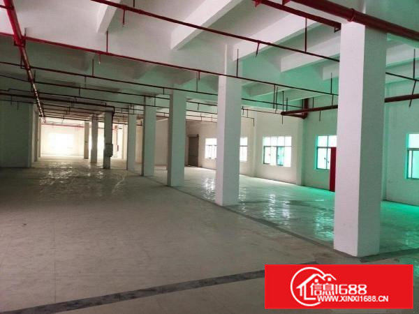 大朗全新厂房对外招租