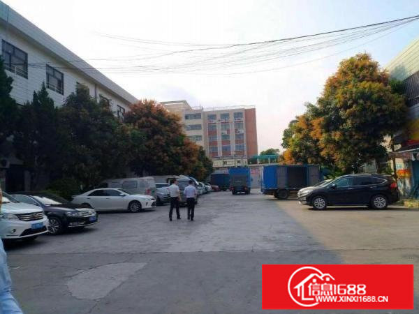 横岗安良16元二楼厂房260平600平出租带精装修