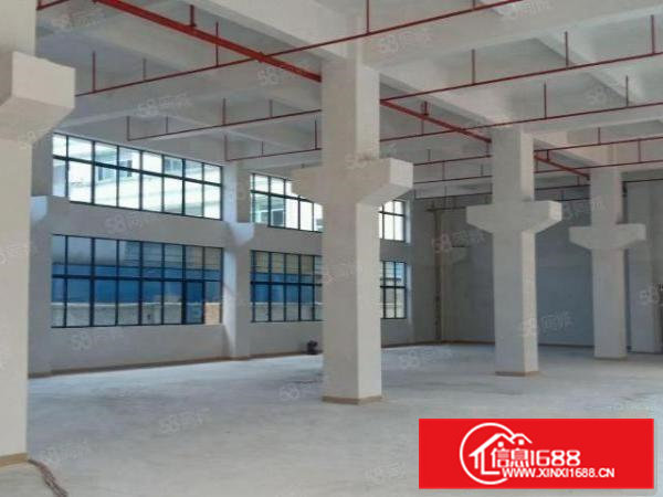 新出四层全新标准厂房1000平米层，一楼6.5米高