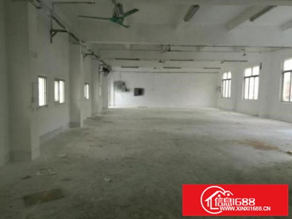 坪山碧岭金碧路597号厂房2800平米厂房招租