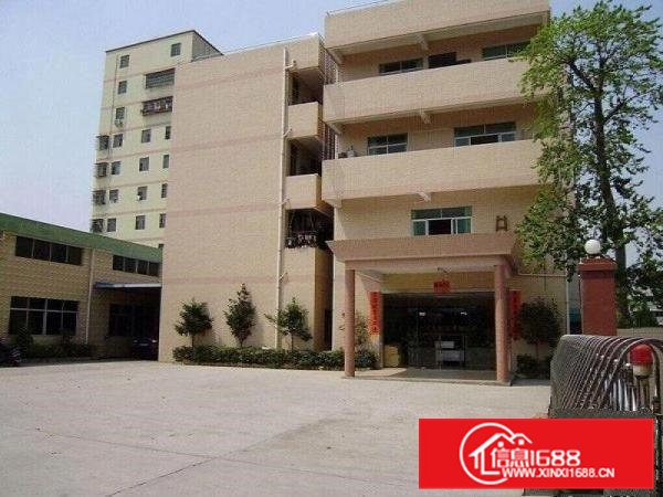 大朗水平村自用独院厂房出租分租，一楼滴水8米，交通便利