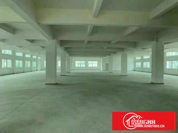 长安镇独栋厂房6000平方出租，可分租