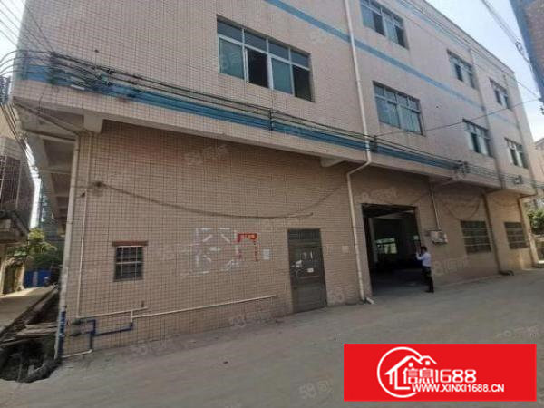 可办环评！大岭山独栋每层800平厂房出租，整租优惠