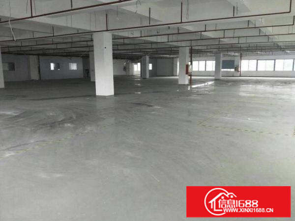 惠阳新圩新出独院厂房7500平米带装修出租