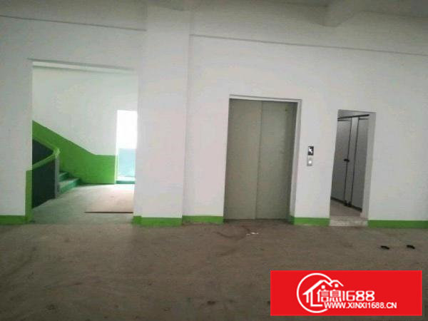 水电到位，可分400与800方两个单位，