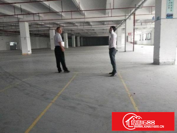 秋长西湖主干道旁1500平标准一楼厂房出租