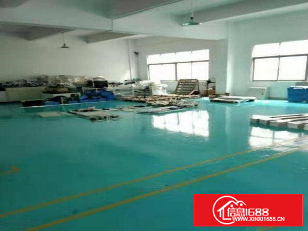 塘厦大坪秒到深圳！独院标准3楼650平！现成地坪漆办公室装修