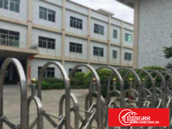 万江石美一楼800平方带办公室装修出租