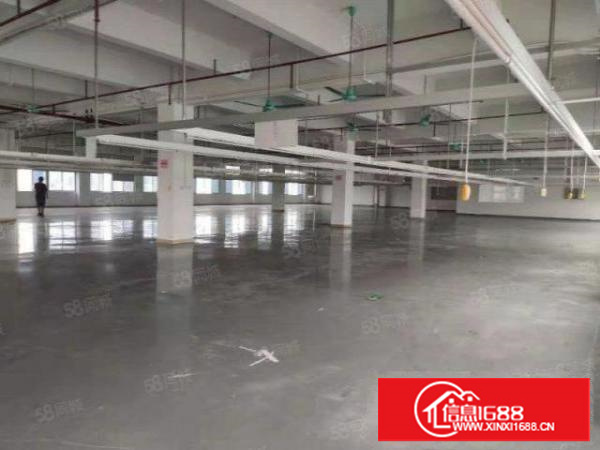 凤岗镇原房东金凤凰楼上带豪华办公室水电精装修1500平方出租