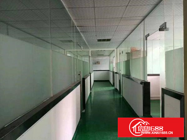 沙头新出豪华装修楼上