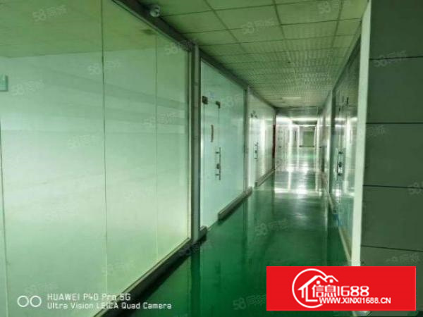 凤岗金凤凰工业园带装修独院厂房出租5000平可分租靠山边