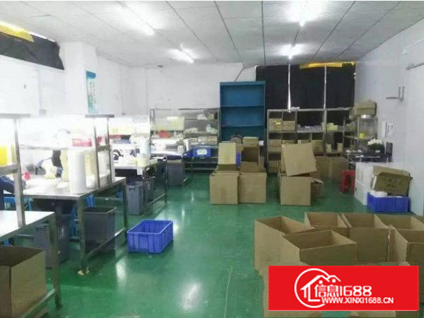 出租龙岗区沙荷路出口楼上300平带装修厂房