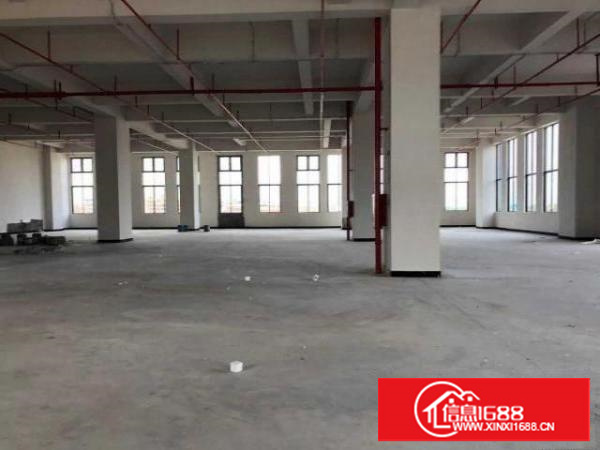 独院标准厂房出租8000