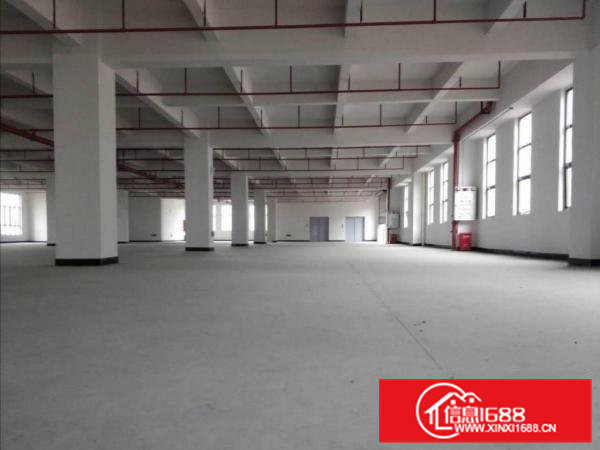 （红本厂房）常平原房东独院厂房3000平方出租