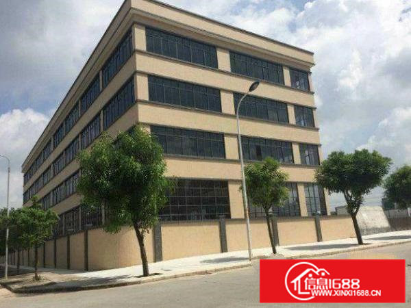 横沥村头楼上标准厂房800平空地大火热招租