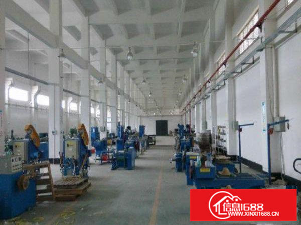 东莞桥头新出3900㎡单一层厂房出租——经济实惠