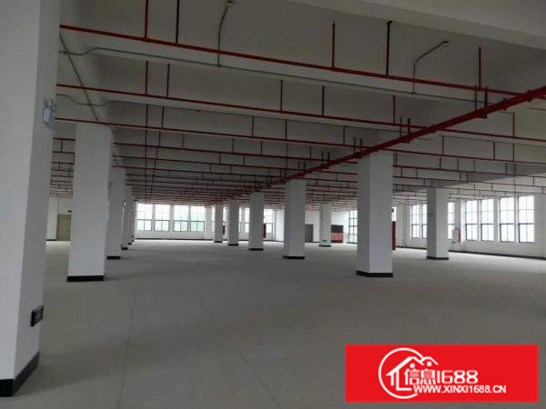 大朗镇30000平米独栋厂房1F7.2m，智能科技业
