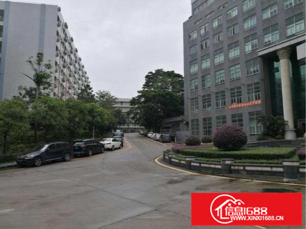 龙岗宝龙楼上600平精装修厂房出租