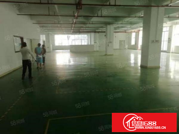 横岗六约大型工业园新空出楼上整层1500平方带精装修厂房出租