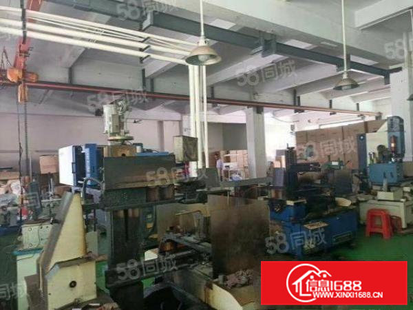 企石霞朗村出租自带行车厂房一楼250方