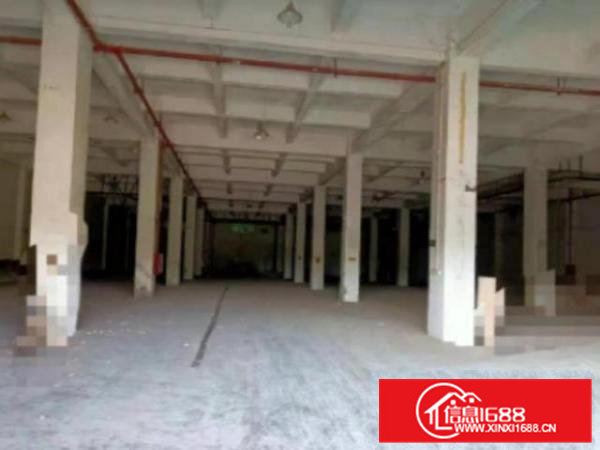 高埗独院标准厂房分租一楼2000平方出租