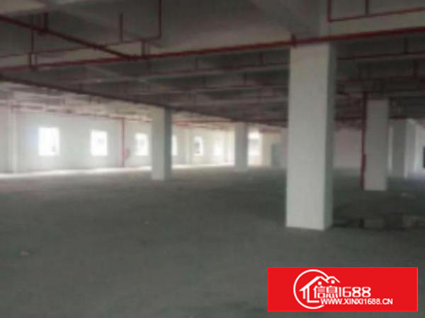 万江新出独门独院厂房5000平方出租制衣厂等等行业;厂房交通