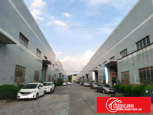 狮山标准3133方厂房出租