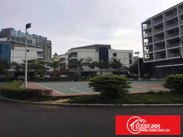 物流园10万平招租，带卸货平台，可分租