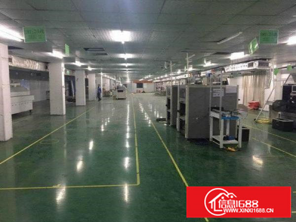 塘厦蛟乙塘独院二楼4000平带地平漆带消防喷淋