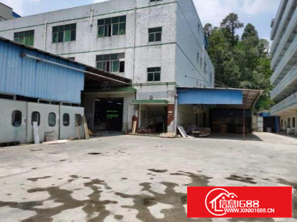 凤岗原房东大空地独院厂房8000平方(靠山)招租